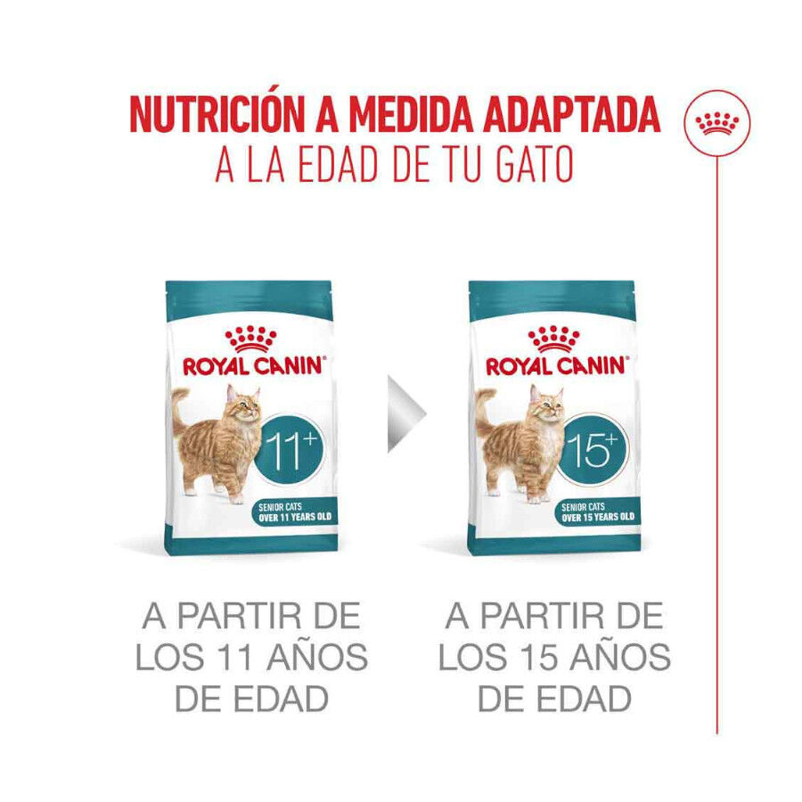 4 kg Royal Canin Ageing 11+ ra&ccedil;&atilde;o para gatos, , large Imagem n&uacute;mero 13