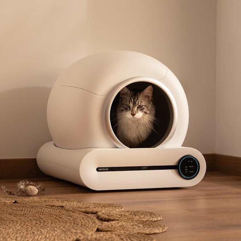 Cecotec Pumba 8000 CleanKitty Smart Caixa sanitária autolimpante para gatos,  Imagem número 7 Cecotec Pumba 8000 CleanKitty Smart Caixa sanitária autolimpante para gatos, , large Imagem número 7