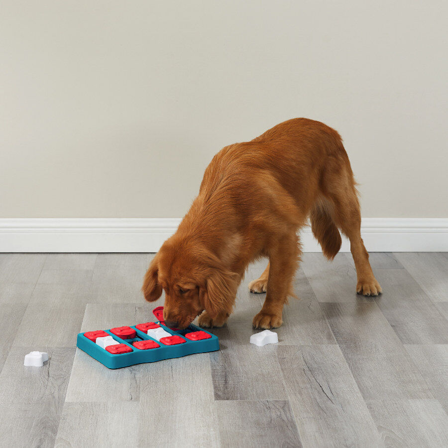 Outward Hound Nina Ottosson Brick Puzzle para c&atilde;es, , large Imagem n&uacute;mero 2