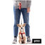 Trela extensível Gotoo vermelha para cães, , large Indicador imagem número 3