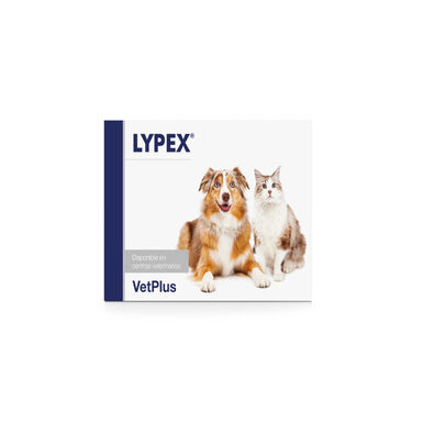 Vetplus Lypex Suplemento em Comprimidos para cães
