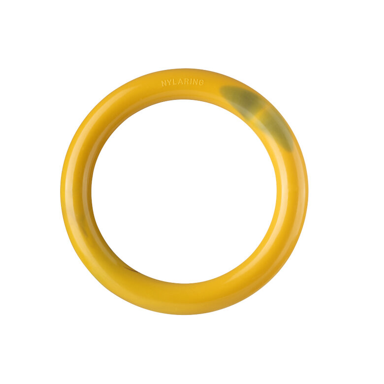 Nylabone Extreme Chew Ring Mordedor Redondo com Sabor a Hambúrguer para cães,  Imagem número 1 Nylabone Extreme Chew Ring Mordedor Redondo com Sabor a Hambúrguer para cães, , large Imagem número 1