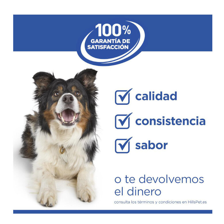 Hill's Science Plan Adult Medium Hypoallergenic Salmão ração para cães,  Imagem número 6 Hill's Science Plan Adult Medium Hypoallergenic Salmão ração para cães, , large Imagem número 6