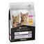 3 kg Pro Plan Junior Frango ração para gatos, , large Indicador imagem número 1
