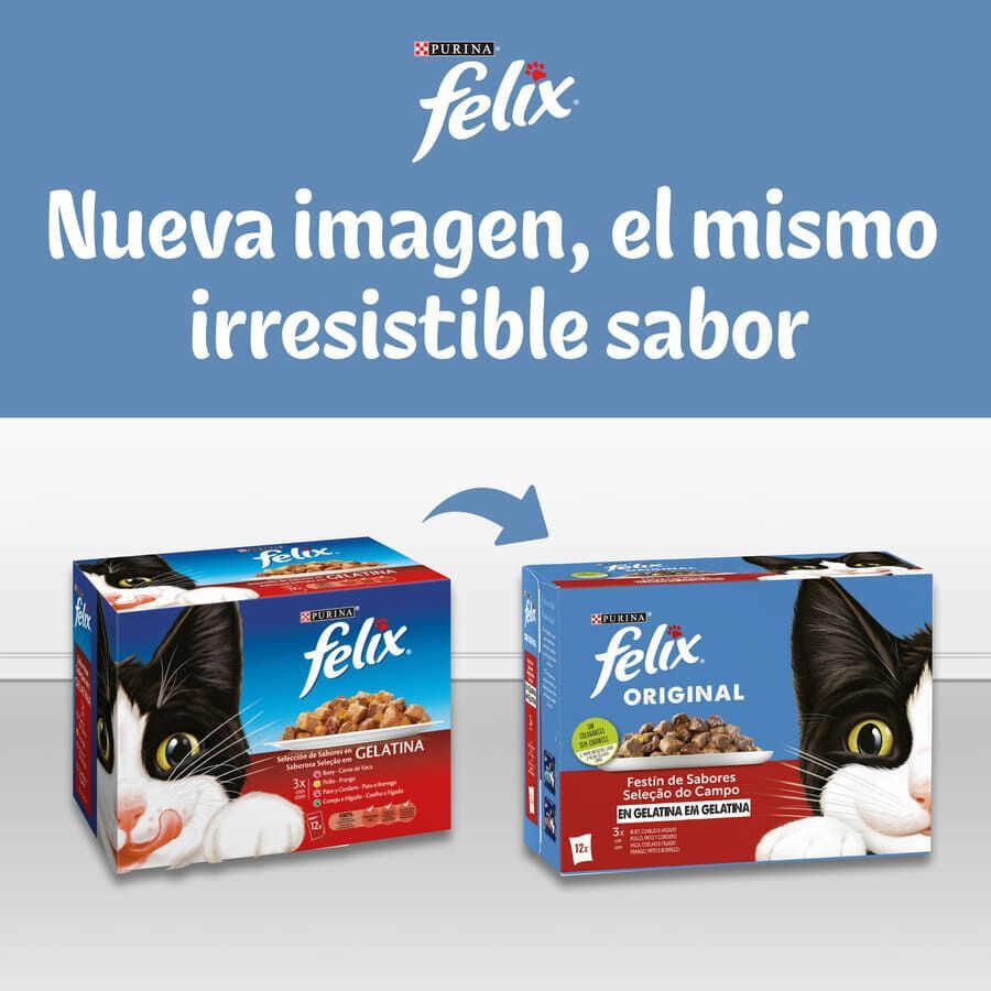 12 x 85 g Felix Sensations Sele&ccedil;&atilde;o de Carnes Alimento h&uacute;mido em saquetas para gatos, , large Imagem n&uacute;mero 6