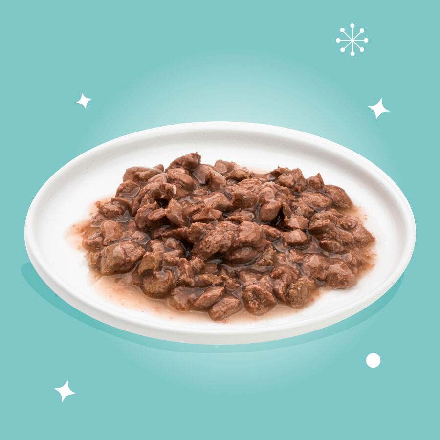 6 latas x 85 g Edgard & Cooper Festive Alimento h&uacute;mido em lata para gatos, , large Imagem n&uacute;mero 2