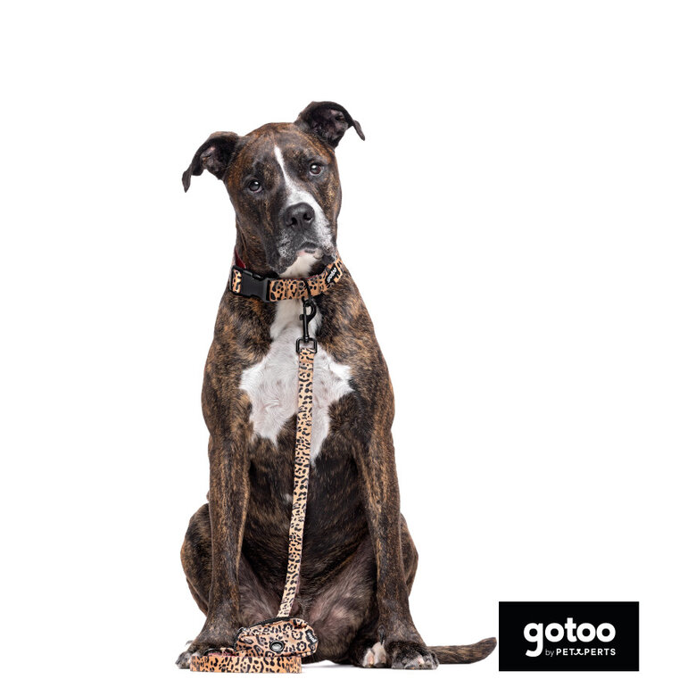 Gotoo Coleira estampada leopardo castanha para cães,  Imagem número 5 Gotoo Coleira estampada leopardo castanha para cães, , large Imagem número 5