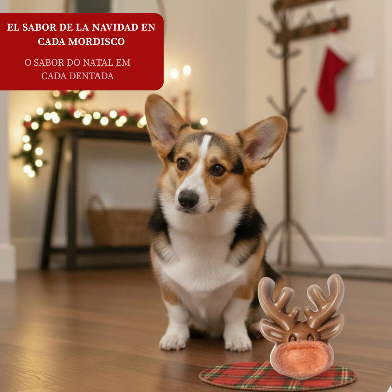 1 ud. Wonder Christmas Galleta Reno Navideña para perros,  Imagem número 4 1 ud. Wonder Christmas Galleta Reno Navideña para perros, , large Imagem número 4