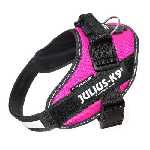 Julius K9 arn&eacute;s ergon&oacute;mico fucsia para perros Imagem n&uacute;mero 1