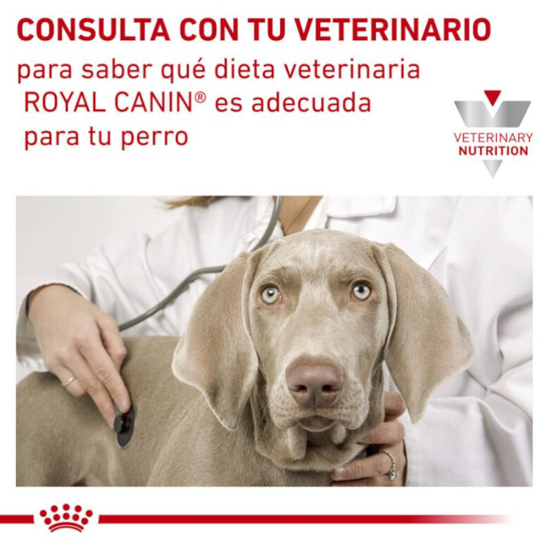 Royal Canin Veterinary Sensitivity Control Mousse de Galinha e Arroz lata para cães, , large image number null