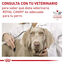 410 g Royal Canin Veterinary Sensitivity Control Mousse de Galinha e Arroz lata para cães, , large Indicador imagem número 3