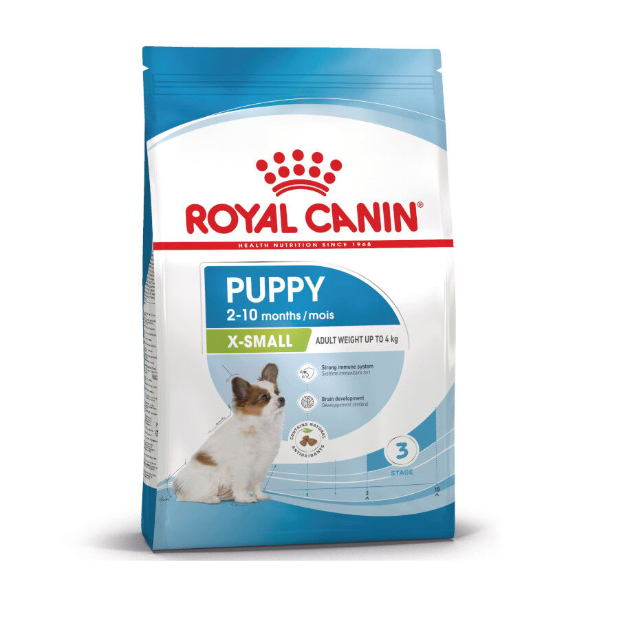 3 kg Royal Canin X-Small Puppy ra&ccedil;&atilde;o para c&atilde;es, , large Imagem n&uacute;mero 1
