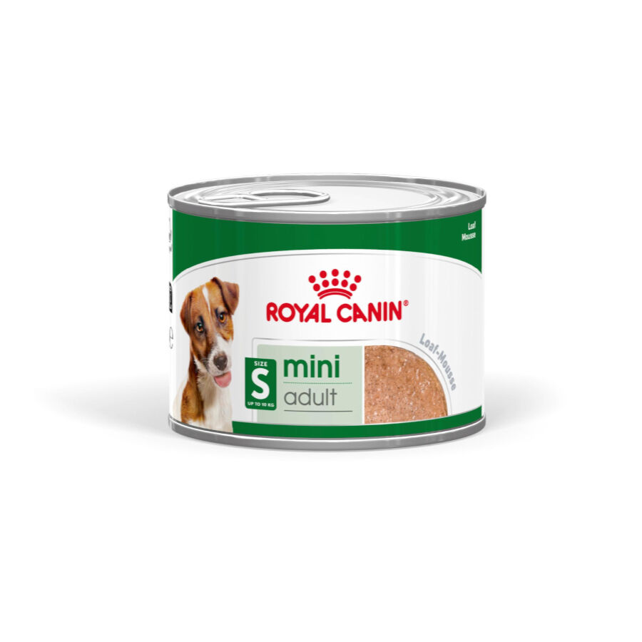 195 g Royal Canin Mini Adult Pat&acirc; em lata para c&atilde;es, , large Imagem n&uacute;mero 2