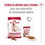 15 kg Royal Canin Medium 7+ Adult ração para cães seniores, , large Indicador imagem número 2