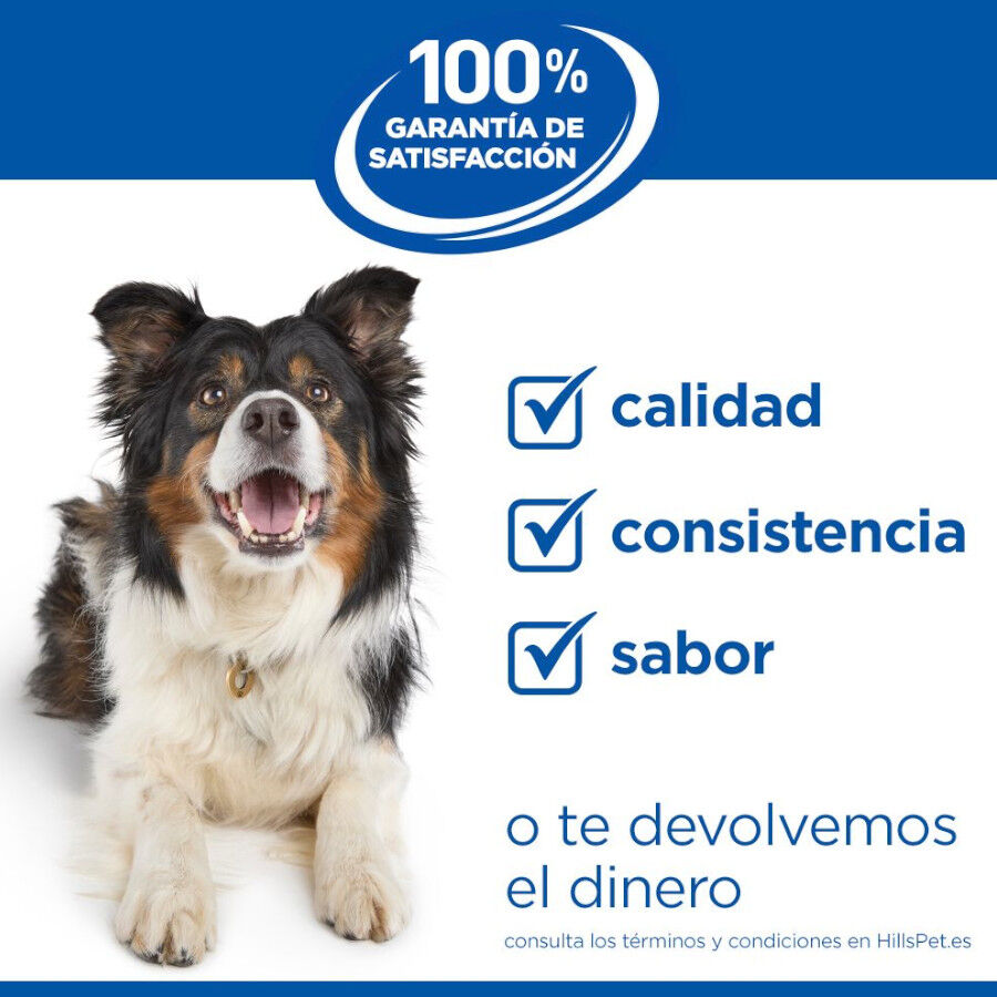 363 g Hill's Science Plan Adult Comida h&uacute;mida de Vaca e Legumes para c&atilde;es, , large Imagem n&uacute;mero 7