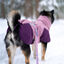 Non-stop Dogwear Glacier Casaco Imperme&aacute;vel Malva para c&atilde;es, , large Indicador imagem n&uacute;mero 3