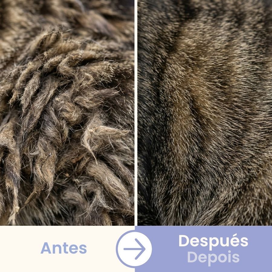 Bloob Pente de dupla face para gatos, , large Imagem n&uacute;mero 5