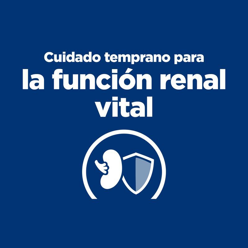 12 kg Hill's Prescription Diet Kidney Care k/d early stage Ra&ccedil;&atilde;o para c&atilde;es, , large Imagem n&uacute;mero 5