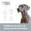 PSH Seborrhea Specific Champô Espuma para cães, , large Indicador imagem número 2