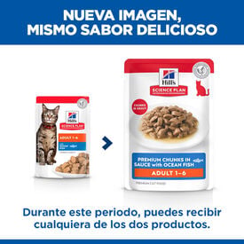 Hill's Science Plan Adult Peixe saqueta para gatos