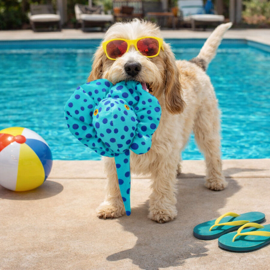 Summer Vibes Floating Stingray Brinquedo Flutuante para c&atilde;es, , large Imagem n&uacute;mero 1