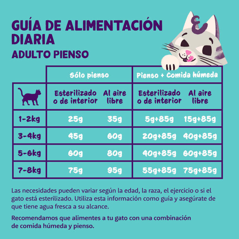 2 kg Edgard & Cooper Senior Ração de frango e peru para gatos   ,  Imagem número 5 2 kg Edgard & Cooper Senior Ração de frango e peru para gatos   , , large Imagem número 5