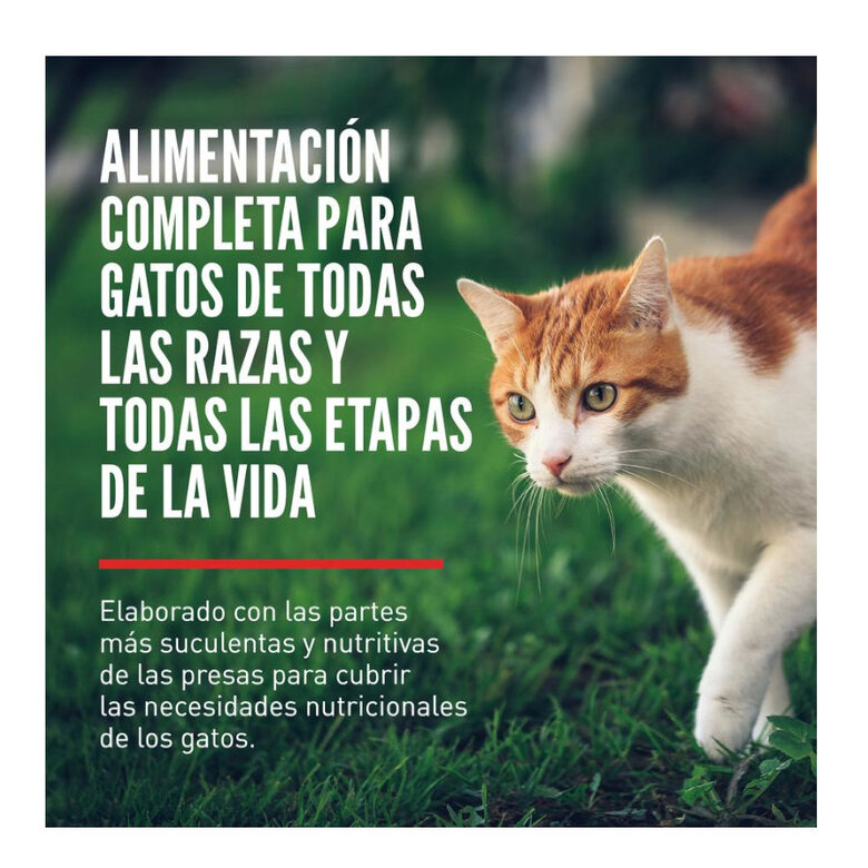 4.5 kg Orijen Guardián 8 Ração para gatos,  Imagem número 2 4.5 kg Orijen Guardián 8 Ração para gatos, , large Imagem número 2