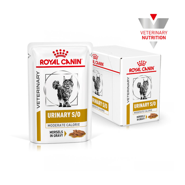 12 saquetas x 85 g Royal Canin Veterinary Urinary Moderate Calorie ração para gatos,  Imagem número 2 12 saquetas x 85 g Royal Canin Veterinary Urinary Moderate Calorie ração para gatos, , large Imagem número 2