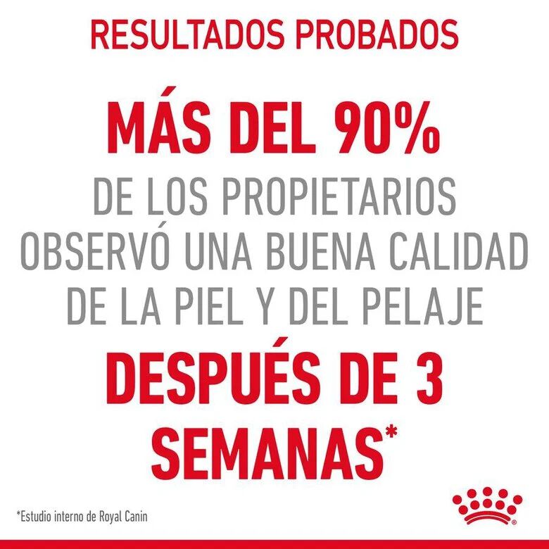 85 g Royal Canin Hair and Skin alimento h&uacute;mido em molho saquetas para gatos, , large Imagem n&uacute;mero 3