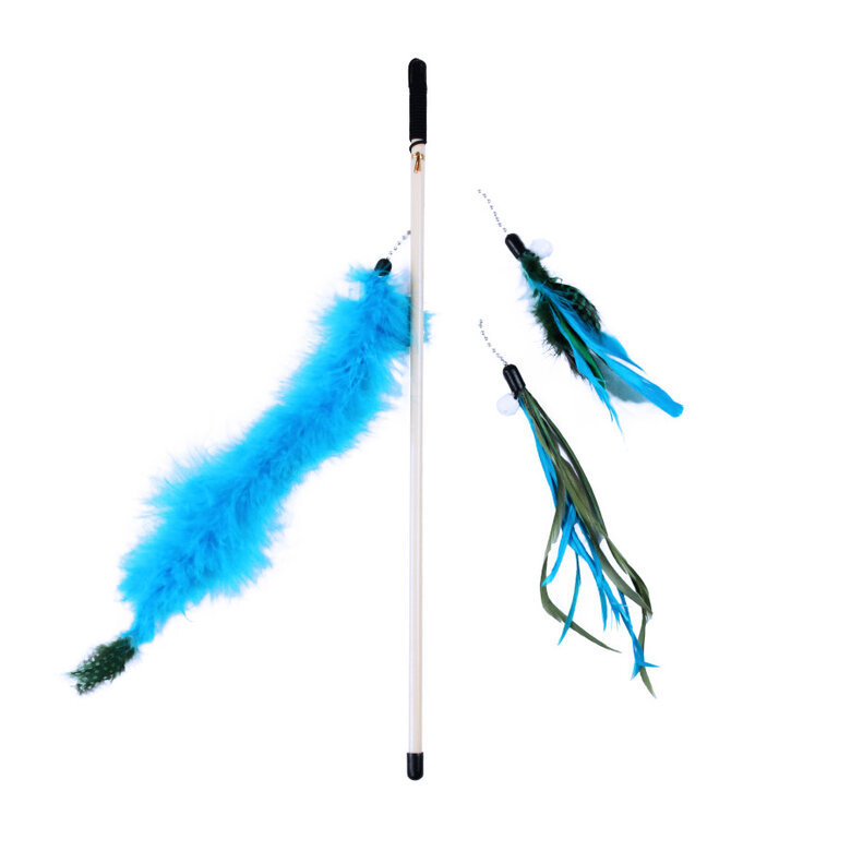 The Cat Band Cana com bailarina azul,  Imagem número 1 The Cat Band Cana com bailarina azul, , large Imagem número 1