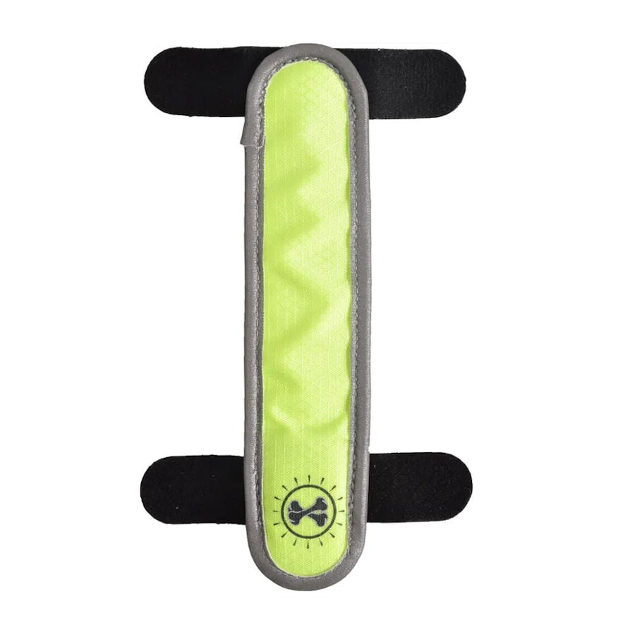 Flamingo Fita de seguran&ccedil;a com luz led para c&atilde;es, , large Imagem n&uacute;mero 1