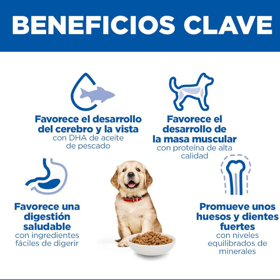 14.5 kg Hill's Science Plan Puppy Large Frango ra&ccedil;&atilde;o para c&atilde;es, , large Imagem n&uacute;mero 5