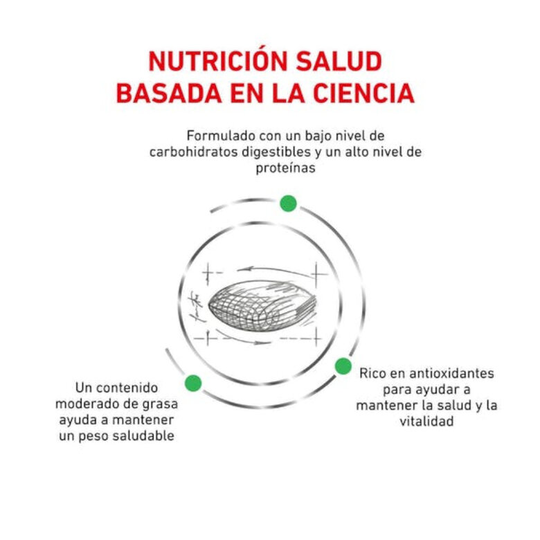 3.5 kg Royal Canin Veterinary Diabetic ração para gatos  ,  Imagem número 2 3.5 kg Royal Canin Veterinary Diabetic ração para gatos  , , large Imagem número 2