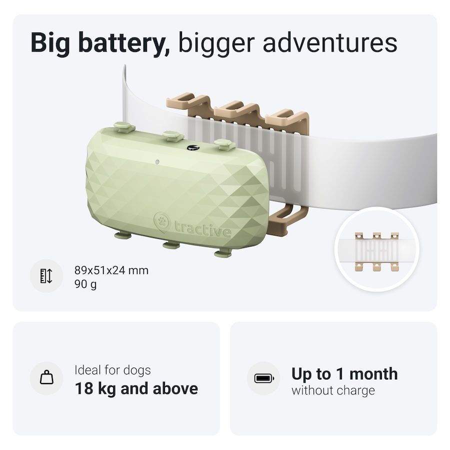 Iberoluso Tractive GPS Localizador XL para c&atilde;es, , large Imagem n&uacute;mero 6