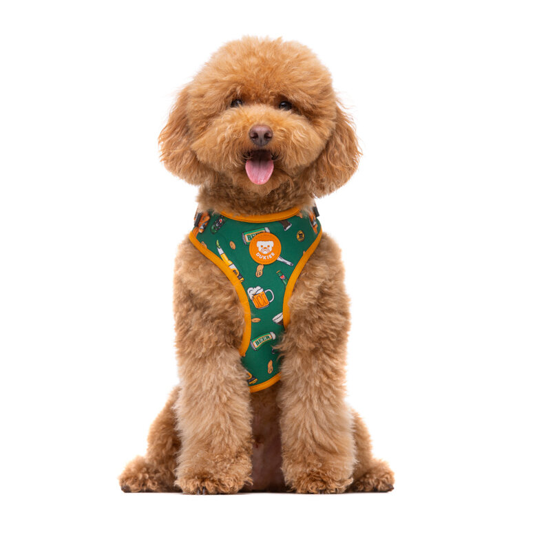 Dukier Beer Peitoral ajustável para cães ,  Imagem número 2 Dukier Beer Peitoral ajustável para cães , , large Imagem número 2