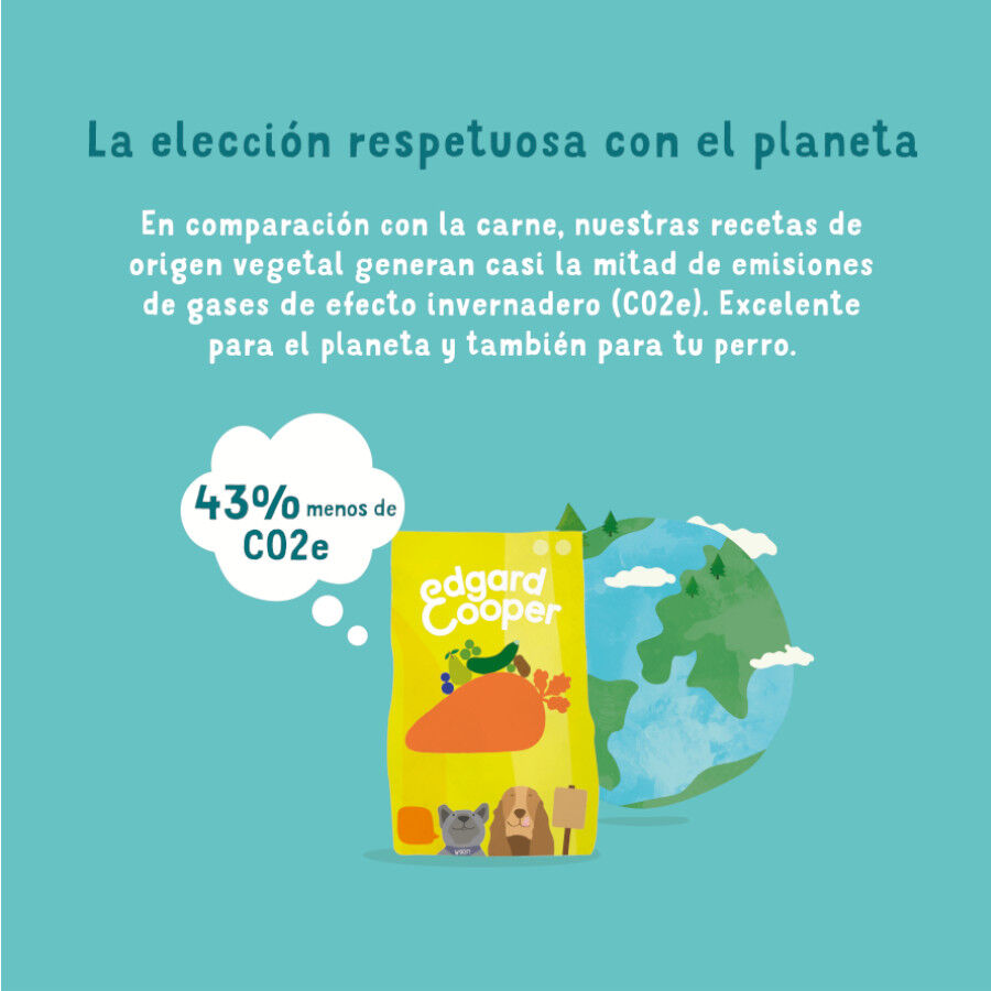 7 kg Edgard & Cooper Ra&ccedil;&atilde;o de cenoura e curgete para c&atilde;es, , large Imagem n&uacute;mero 6