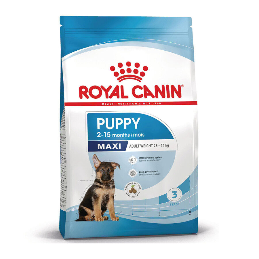 4 kg Royal Canin Puppy Maxi ra&ccedil;&atilde;o para c&atilde;es, , large Imagem n&uacute;mero 2