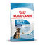 4 kg Royal Canin Puppy Maxi ra&ccedil;&atilde;o para c&atilde;es, , large Indicador imagem n&uacute;mero 2