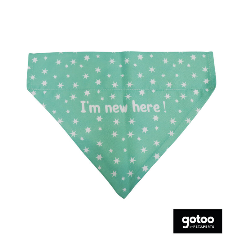 Gotoo Bandana estampada verde para cães,  Imagem número 2 Gotoo Bandana estampada verde para cães, , large Imagem número 2