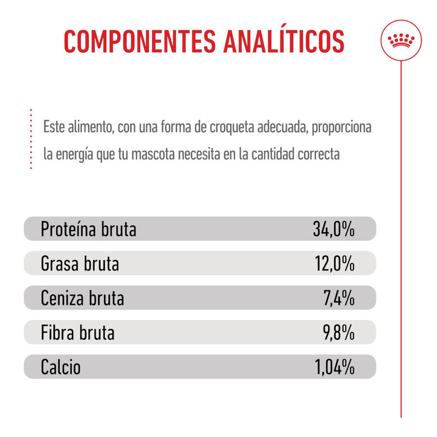 400 g Royal Canin Kitten Sterilised ra&ccedil;&atilde;o para gatos , , large Imagem n&uacute;mero 10