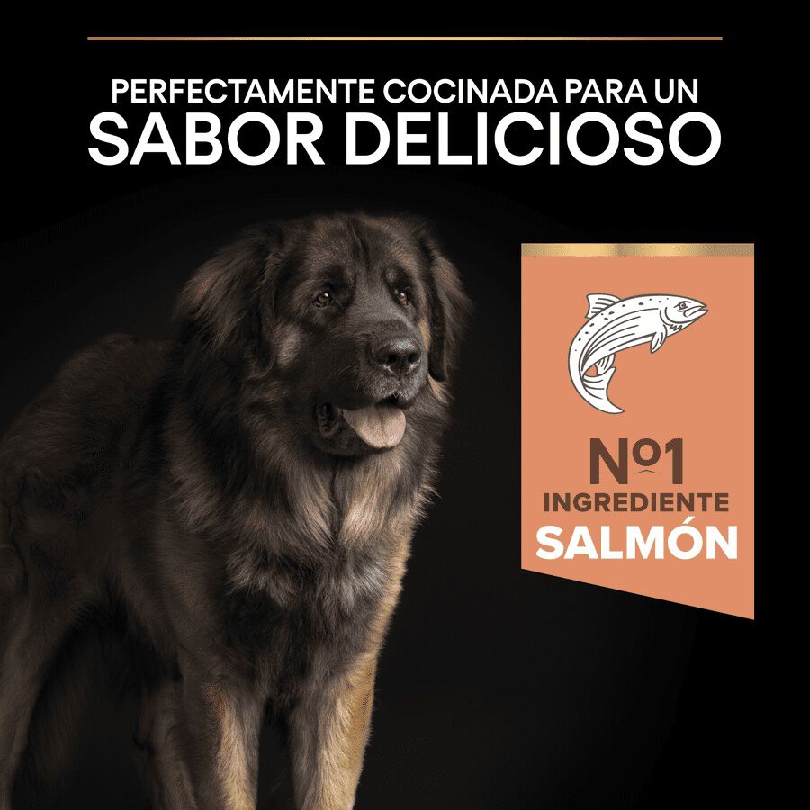 14 kg Pro Plan Adult Large Robust Peles Sens&iacute;veis Salm&atilde;o ra&ccedil;&atilde;o para c&atilde;es, , large Imagem n&uacute;mero 3