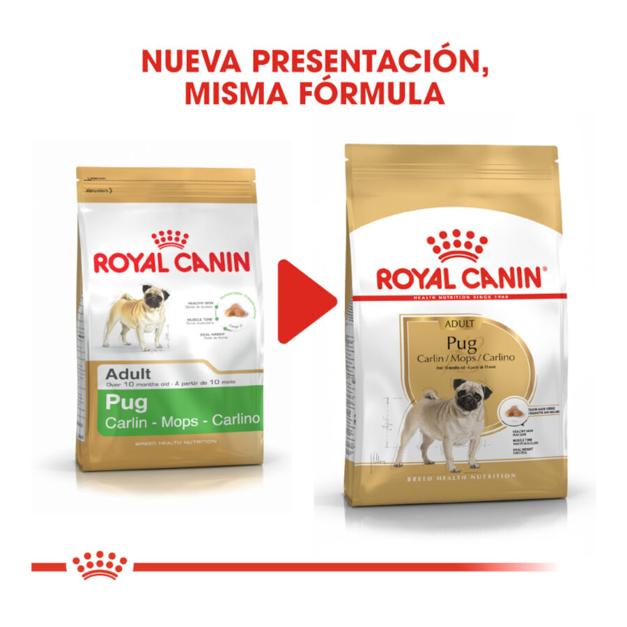 3 kg Royal Canin Adult Pug ra&ccedil;&atilde;o para c&atilde;es, , large Imagem n&uacute;mero 3