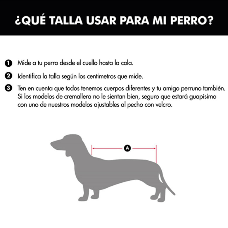 Outech Capa de Chuva Impermeável Com Estrelas para cães, , large image number null