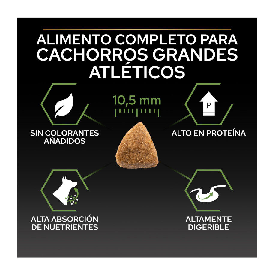 12 kg Pro Plan Puppy Large Athletic Frango ra&ccedil;&atilde;o para c&atilde;es, , large Imagem n&uacute;mero 4