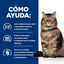 24 saquetas x 85 g Hill's Prescription Diet Feline GI Biome Digestive Care Frango e Legumes em molho Saqueta Pack poupança!, , large Indicador imagem número 3