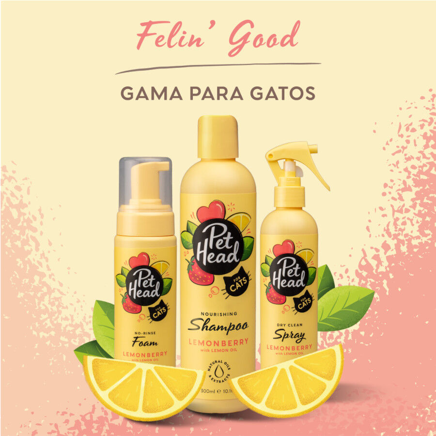 Pet Head Shampoo para gato 300ml, , large Imagem n&uacute;mero 5