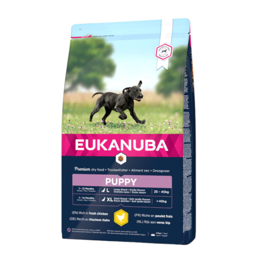 15 kg Eukanuba Puppy Large Breed Frango ra&ccedil;ao para c&atilde;es, , large Imagem n&uacute;mero 1