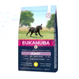 Eukanuba Puppy Large Breed Frango raçao para cães