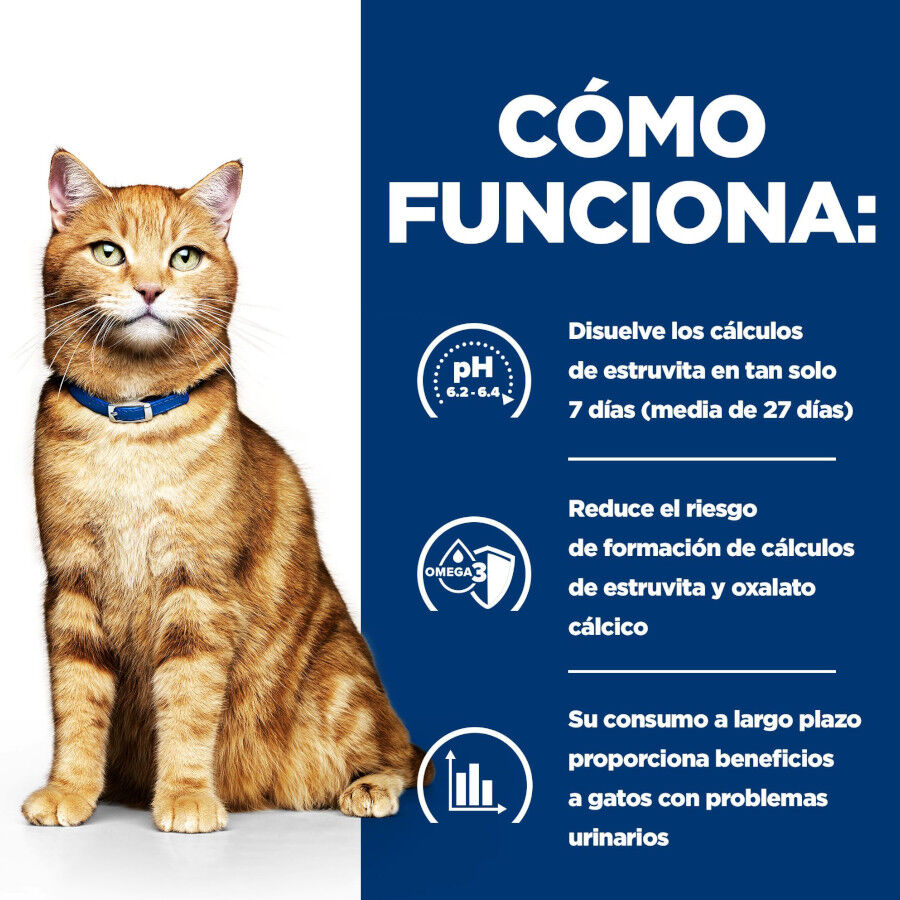 1.5 kg Hill's Prescription Diet Urinary Care Frango ra&ccedil;&atilde;o para gatos, , large Imagem n&uacute;mero 5