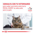 Royal Canin Veterinary Urinary Moderate Calorie ração para gatos, , large image number null